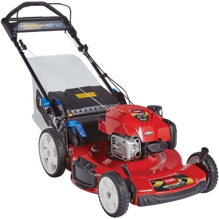 Toucan City Gas Can and Toro Recycler 22 in. Lawn Mower 20340