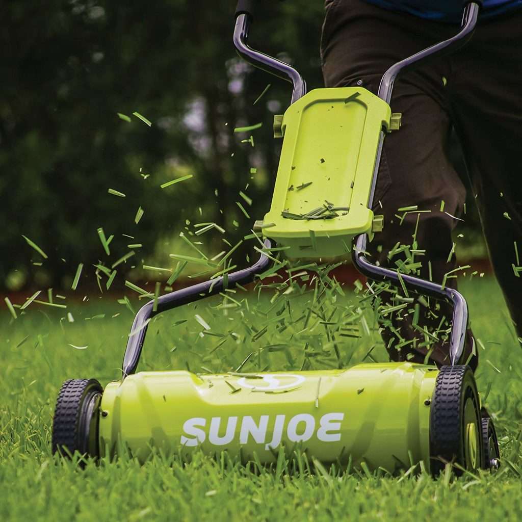 Joe Manual Lawn product image