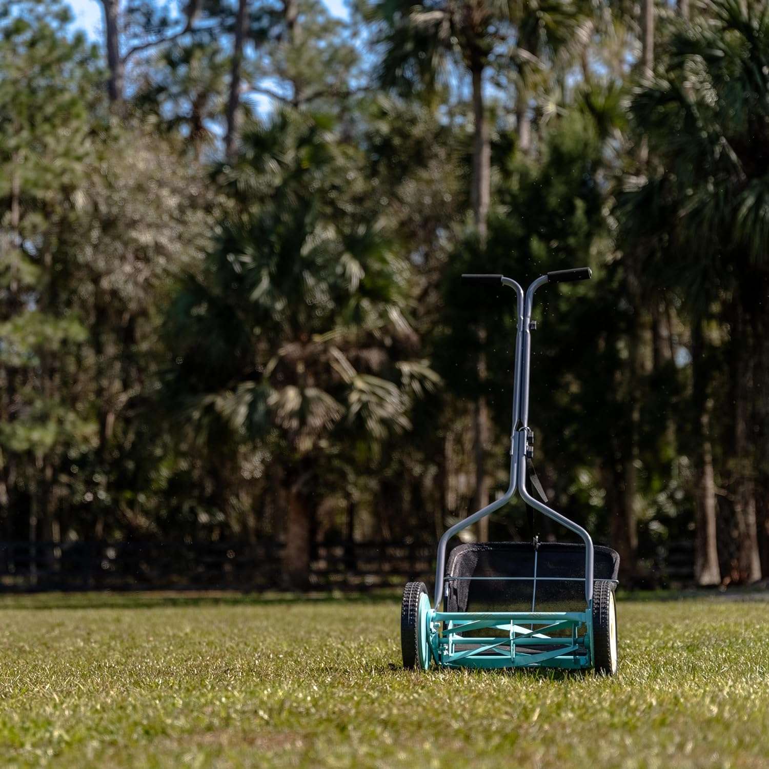 American Lawn Mower Company 1304-14GC 14-Inch 5-Blade Push Reel Lawn Mower with Grass Catcher, Mint - 4