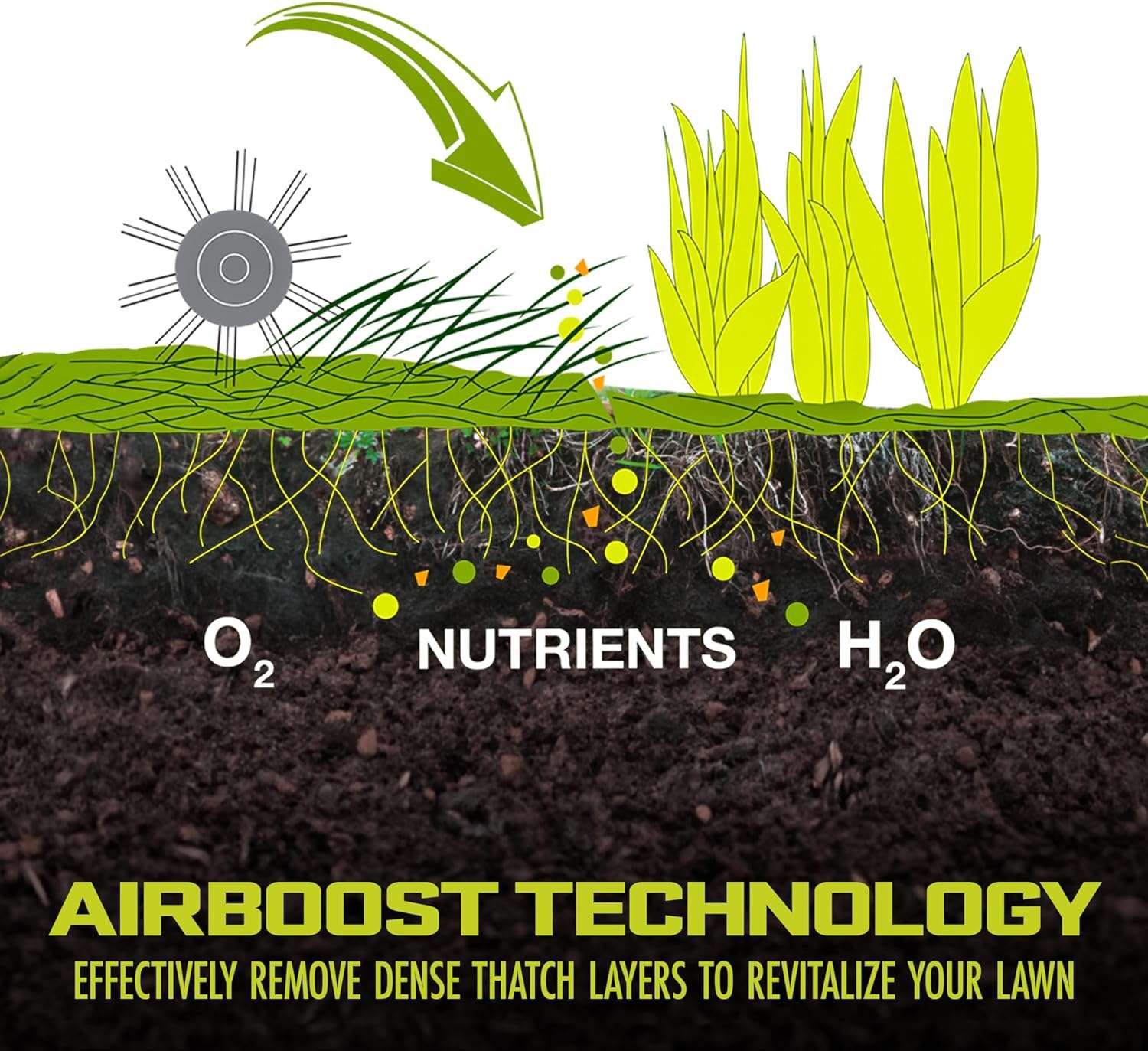 Sun Joe AJ805E 15-Inch 13-Amp Electric Dethatcher and Scarifier w-Removeable 13.2-Gal Collection Bag, 5-Position Height Adjustment, Airboost Technology Increases Lawn Health, Green - 6