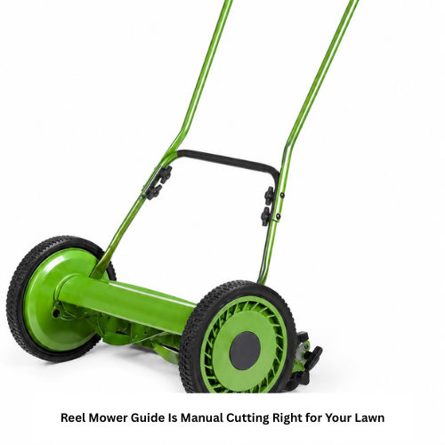 Reel Mower Guide Is Manual Cutting Right for Your Lawn