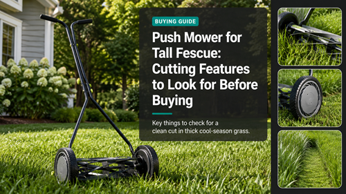 Push Mower For Tall Fescue buying guide